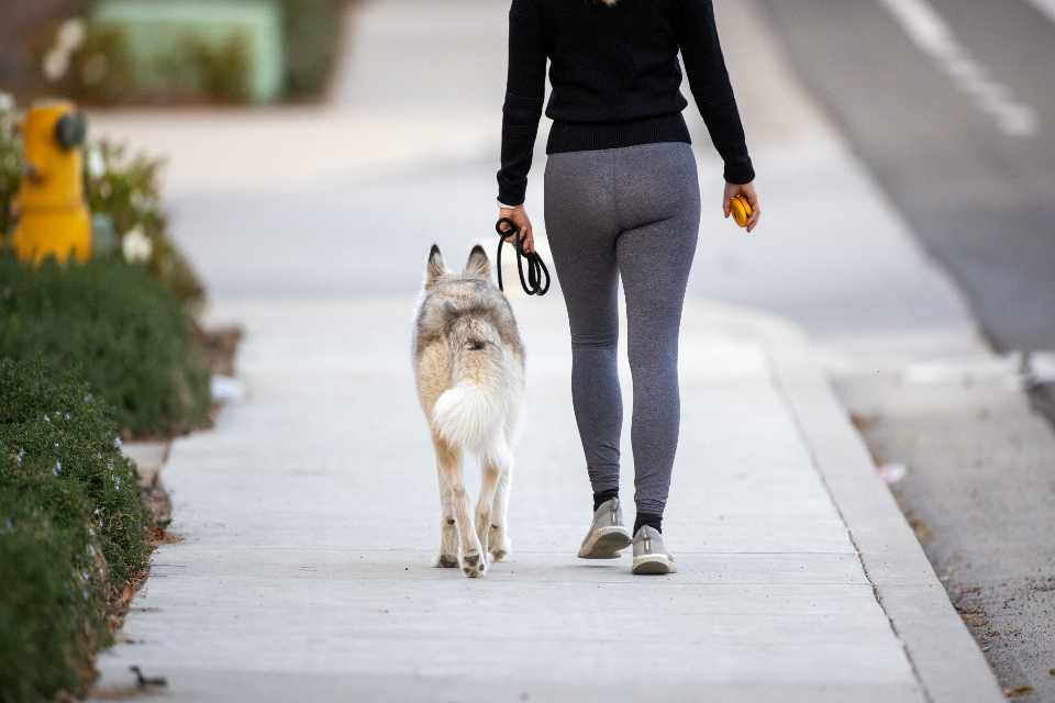 Walking Dog