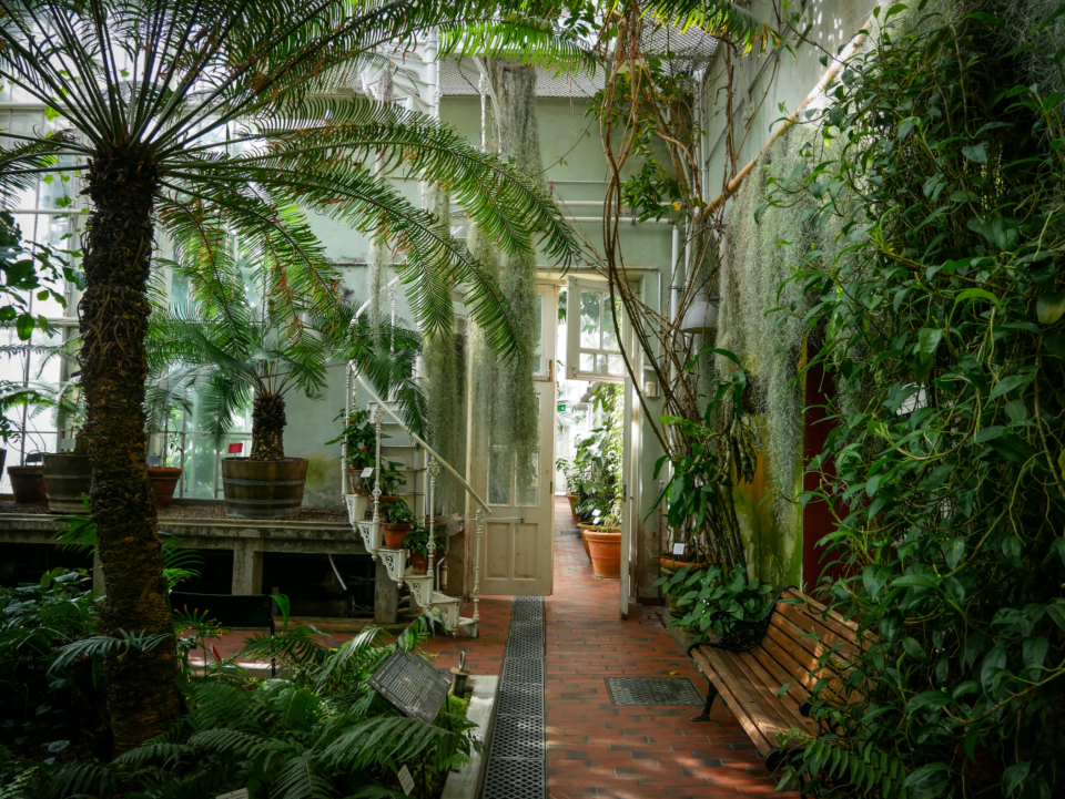 Indoor Garden