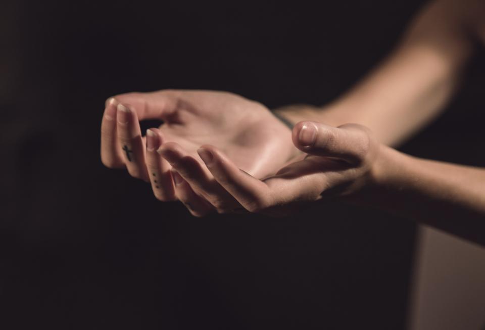 Hands Palms
