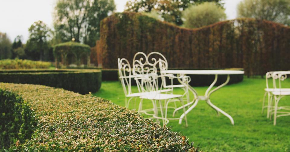 Garden Shrubs