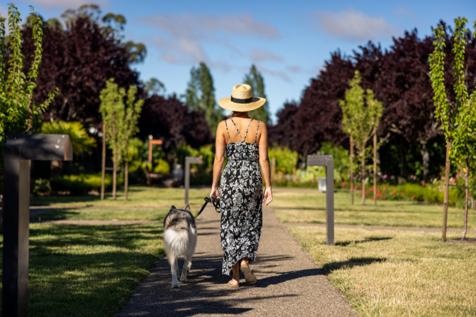 Person Walking