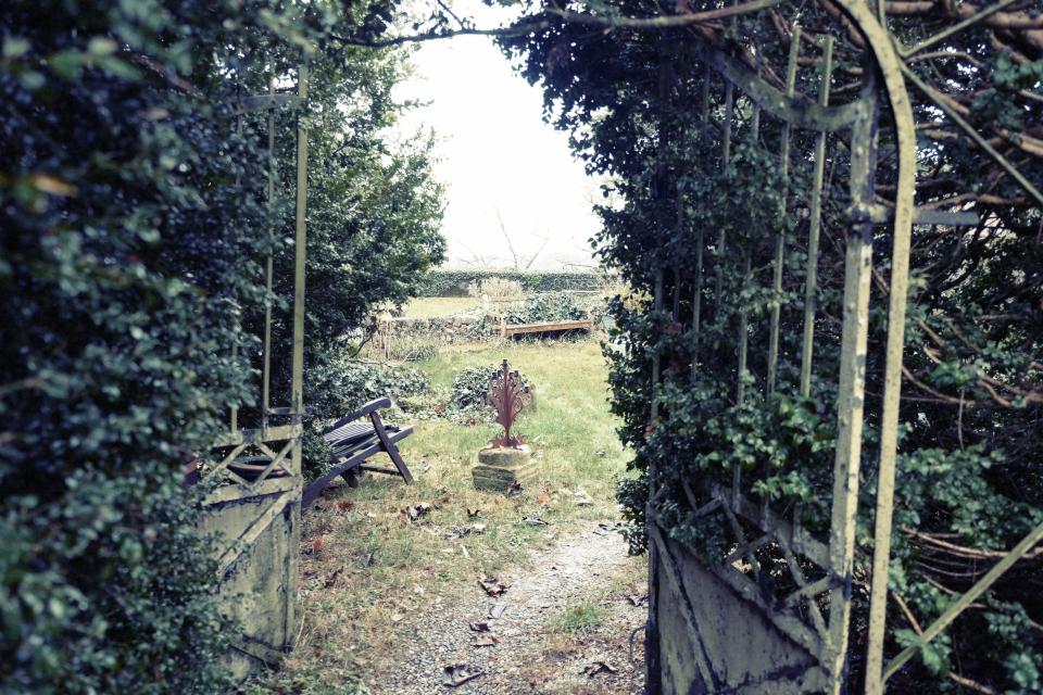 Backyard Garden