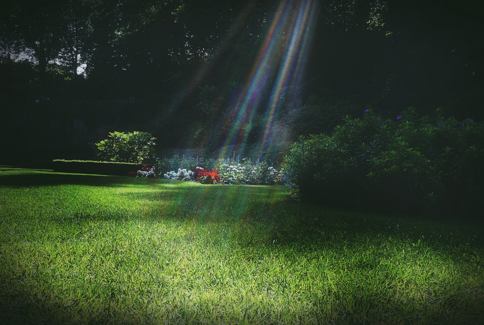 Garden Park
