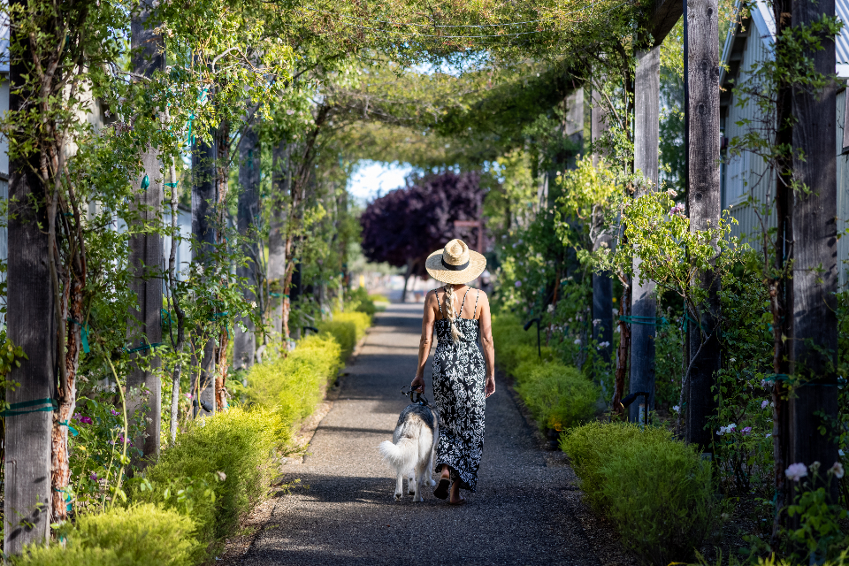 Person Walking