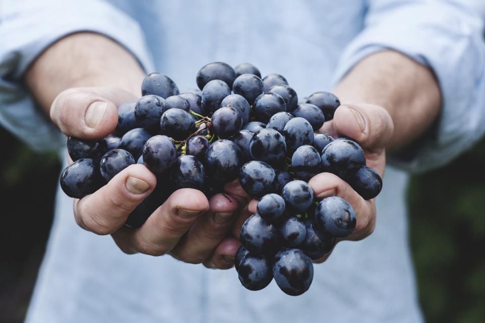 Blueberries Hands